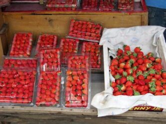 Strawberry Organik  Tunjungan-Surabay